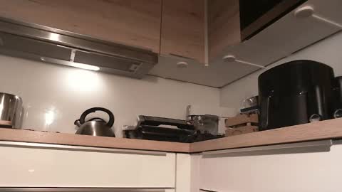 Gregor online show from 12-28-24, 09:20