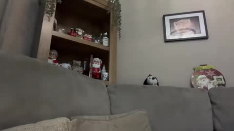 Junky online show from 12-13-24, 07:21