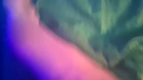 Snapshot of just4funfunfun87 chatting on 03-08-25, 12:11 Yuri online show from 03-08-25, 12:11