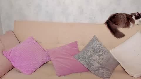 Alex Alexandra online show from 06-24-26, 01:15