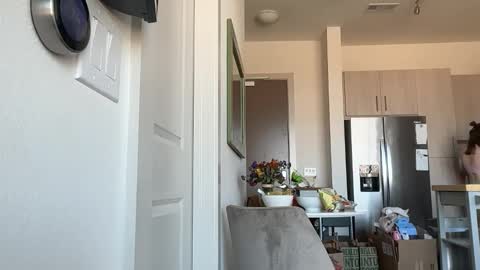 Stella online show from 02-12-26, 09:43