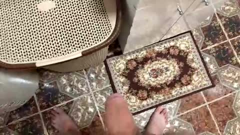 justin950116 online show from 12-15-25, 07:18