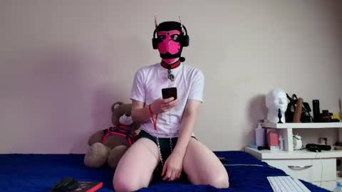 Snapshot of k9_goodboy chatting on 06-15-26, 06:21 Alex online show from 06-15-26, 06:21