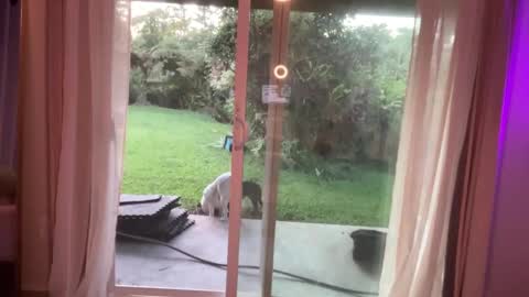 Kailee Smile online show from 01-07-25, 03:46