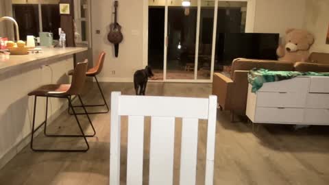 Kailee Smile online show from 09-27-25, 04:39