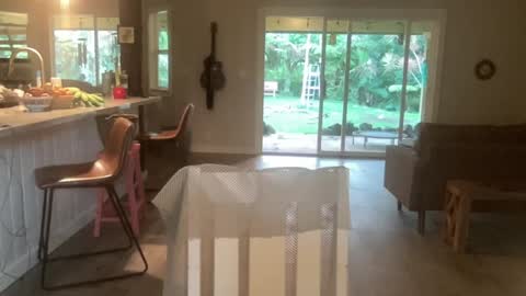 Kailee Smile online show from 10-01-25, 03:56