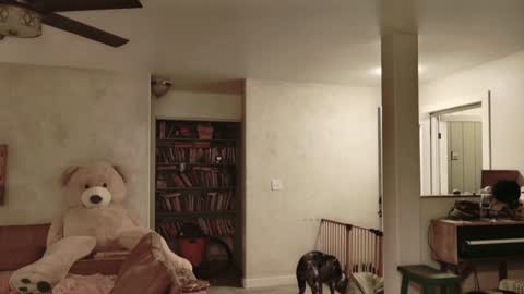 Kailee Smile online show from 11-27-25, 04:58