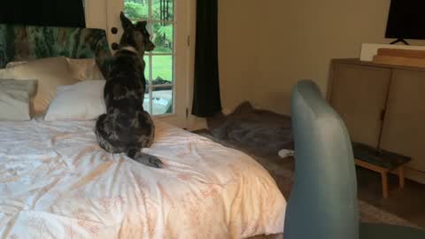 Kailee Smile online show from 02-07-26, 04:16