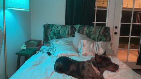 Kailee Smile online show from 02-10-26, 05:00