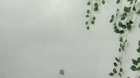 Chenny online show from 12-14-25, 06:01