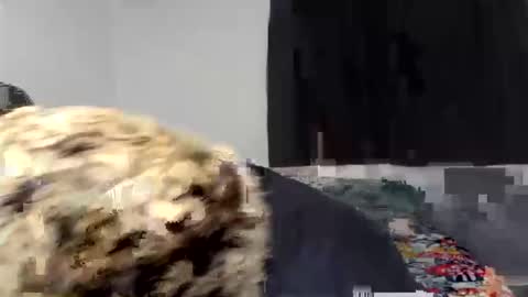 kammy   y   camila online show from 04-09-26, 12:54