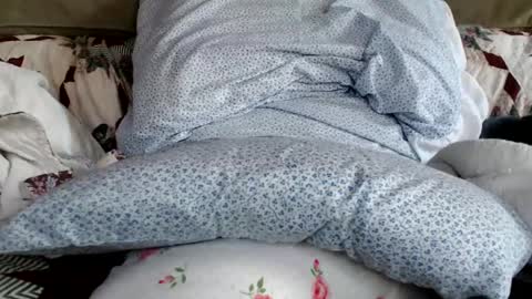 kaonashi69 online show from 01-19-25, 06:21