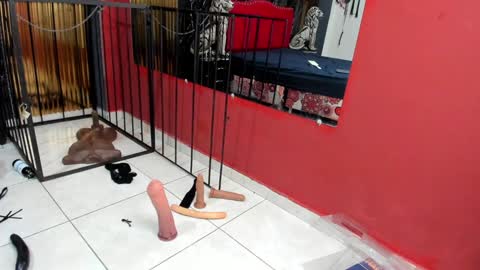 KarinaSimonz online show from 01-24-25, 11:02