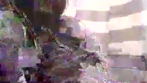 Karlos Montoya online show from 01-01-25, 10:54