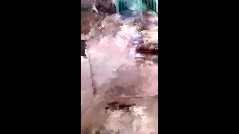 Karol online show from 04-22-26, 05:47