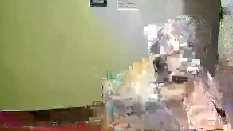 Karol online show from 05-03-26, 02:28