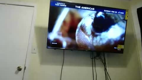 kashmoniy online show from 02-11-25, 07:44