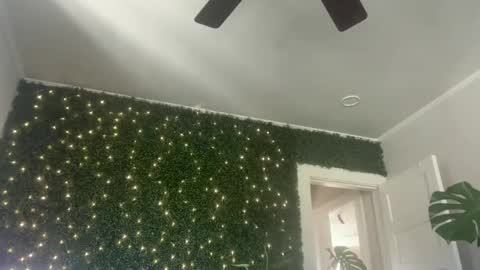 Kate online show from 12-30-24, 04:40