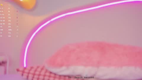 Katy  IGPeach kat666 online show from 01-14-25, 04:18