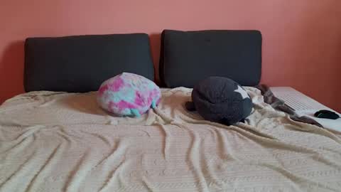 katusha008 online show from 03-31-26, 02:17