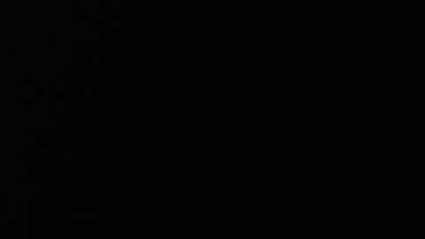 Neon online show from 07-13-26, 05:49