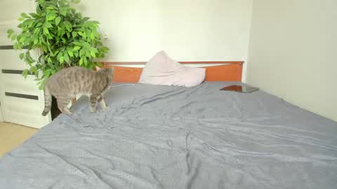 kelly_gerzikaaa online show from 05-02-26, 03:44