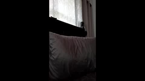 kendall21978 online show from 05-18-26, 08:25