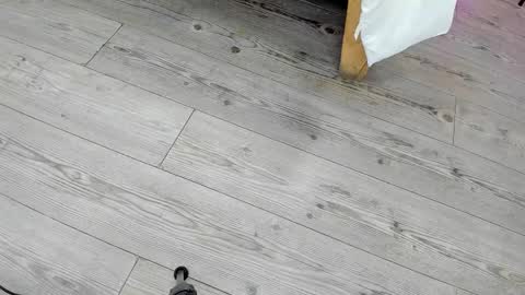 Kendra London online show from 02-24-26, 11:19