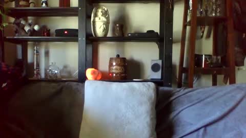 Snapshot of kenkuddles chatting on 01-17-25, 10:12 Ken Kuddles online show from 01-17-25, 10:12