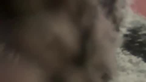 Snapshot of kg1726860 chatting on 10-11-25, 06:50 kg1726860 online show from 10-11-25, 06:50