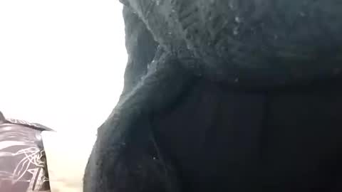 khushisinghh online show from 12-14-24, 02:34