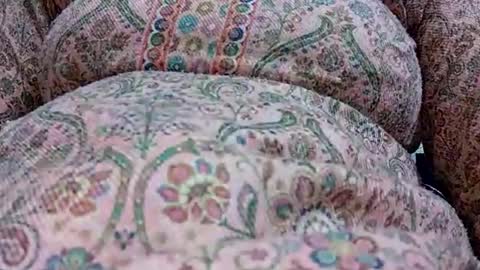 khushisinghh online show from 01-24-25, 12:31