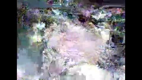 ki389253 online show from 03-04-26, 02:17