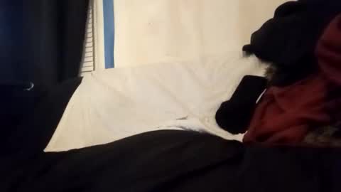 Snapshot of kickitwithfrankie chatting on 01-14-26, 06:41 Frankie online show from 01-14-26, 06:41