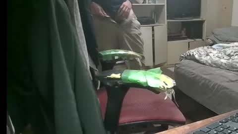 kinchan069 online show from 11-09-25, 07:50