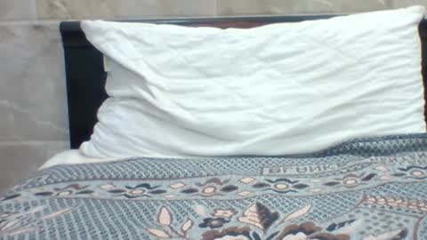 kingjordan122 online show from 01-30-25, 07:15