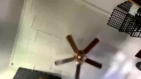 Kinky Cassie online show from 04-27-26, 08:29