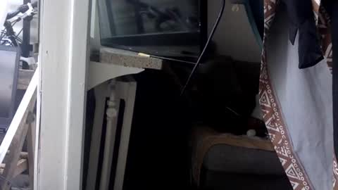 Snapshot of kinkysecretdesire chatting on 05-21-26, 03:30 Kinky Himeros online show from 05-21-26, 03:30