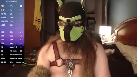kinkywolf87 online show from 04-02-26, 03:09