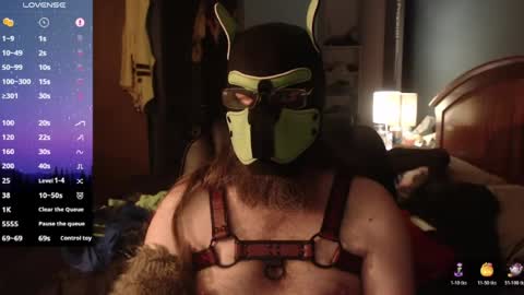 Snapshot of kinkywolf87 chatting on 06-14-26, 03:08 kinkywolf87 online show from 06-14-26, 03:08