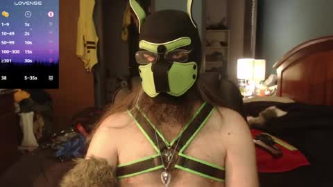 Snapshot of kinkywolf87 chatting on 06-15-26, 05:26 kinkywolf87 online show from 06-15-26, 05:26