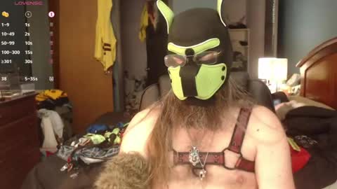 Snapshot of kinkywolf87 chatting on 06-22-26, 07:22 kinkywolf87 online show from 06-22-26, 07:22