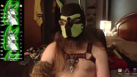 Snapshot of kinkywolf87 chatting on 07-02-26, 12:10 kinkywolf87 online show from 07-02-26, 12:10