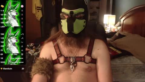 Snapshot of kinkywolf87 chatting on 07-03-26, 12:06 kinkywolf87 online show from 07-03-26, 12:06