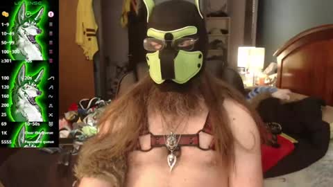 Snapshot of kinkywolf87 chatting on 07-05-26, 09:44 kinkywolf87 online show from 07-05-26, 09:44