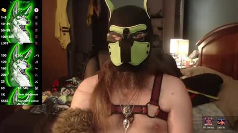 Snapshot of kinkywolf87 chatting on 07-06-26, 10:12 kinkywolf87 online show from 07-06-26, 10:12