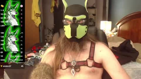 Snapshot of kinkywolf87 chatting on 07-08-26, 07:29 kinkywolf87 online show from 07-08-26, 07:29