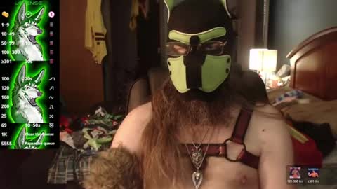 Snapshot of kinkywolf87 chatting on 07-10-26, 03:47 kinkywolf87 online show from 07-10-26, 03:47