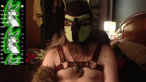 Snapshot of kinkywolf87 chatting on 07-18-26, 03:00 kinkywolf87 online show from 07-18-26, 03:00