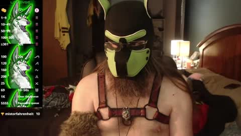 Snapshot of kinkywolf87 chatting on 07-20-26, 03:47 kinkywolf87 online show from 07-20-26, 03:47